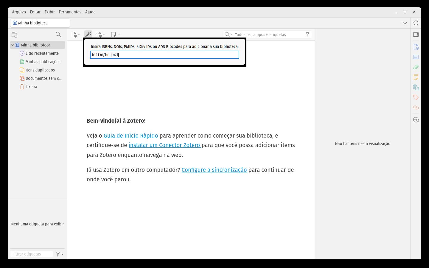 Caixa Adicionar por identificador com um DOI digitado